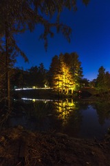 深秋夜色+燕雀湖水杉林（南京）