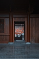 佛顶寺秋景+牛首山（南京）