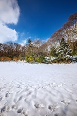 雪景图+中山陵园风景区（南京）