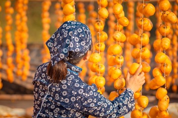 吊柿子1+姬公尖（皖南）