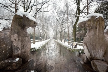雪后石像路+南京梅花山
