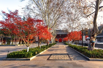 秋染栖霞寺+南京