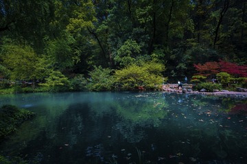岳麓山