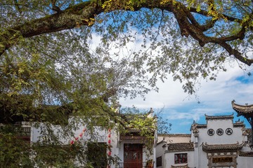 宁静的古村落