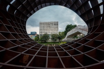 洞见