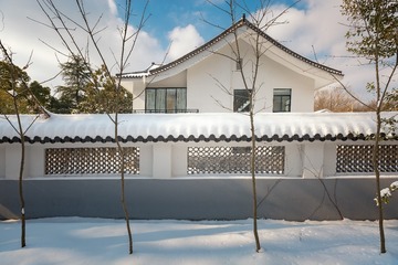 雪后小景+南京中山陵园风景区