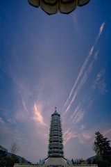 莲花与大报恩塔+南京