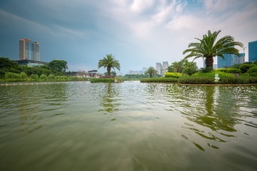 醉美千灯湖