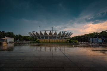 雨后世纪莲