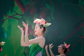 葡萄熟了