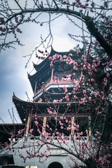马洪伟+雨花阁+南京