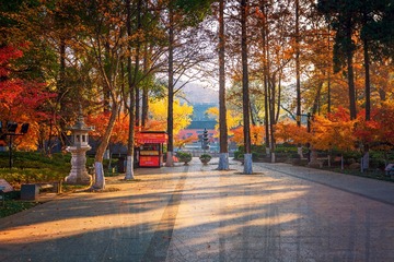 秋日晨曦里的栖霞寺+南京