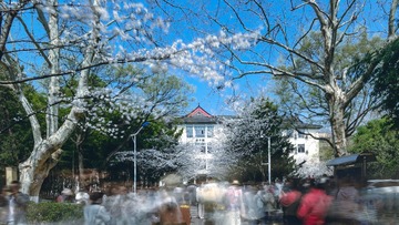 赏樱+南京林业大学图书馆（南京）