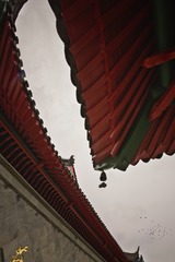 交错的廊檐+毗卢寺（南京）