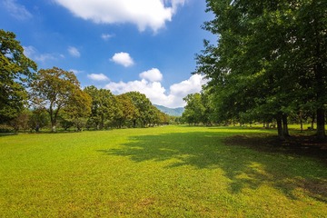秋日光影中的公园+梅花山（南京）