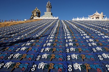 1000015481