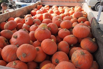 菜市场P03577