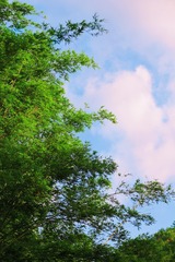 4CDCB70D-30B9-4998-9640-A7642B7FCB38/L0/001