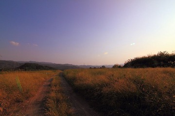 路.JPG