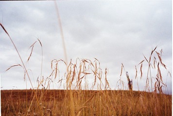 CNV000025.JPG