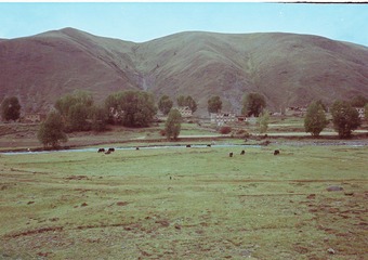 CNV000024.JPG