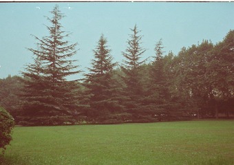 CNV000034.JPG