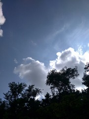 1660078