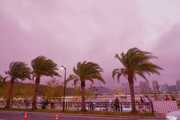 3A76B311-F925-4B59-9BC8-D2D9895D04D5/L0/001