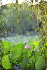 001