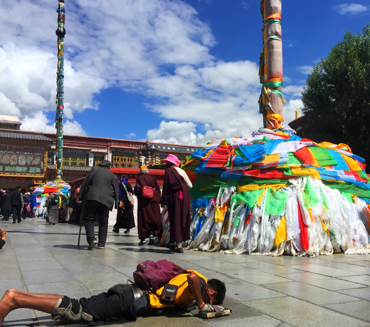 喵姐姐的椰汁儿