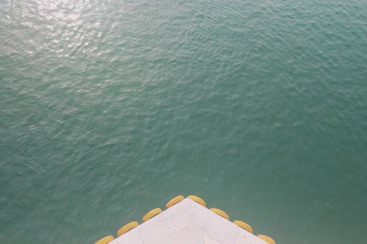 喵姐姐的椰汁儿