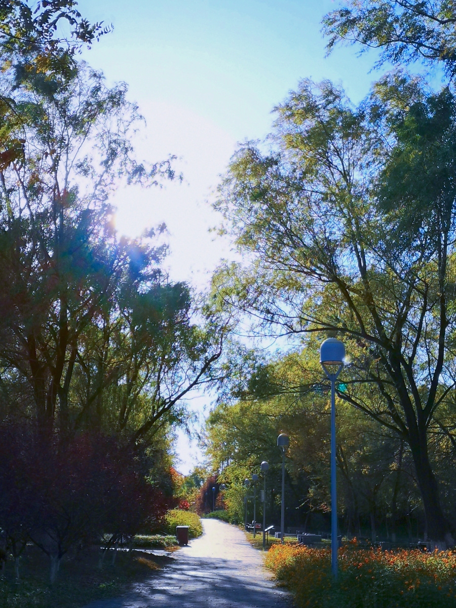 喵姐姐的椰汁儿