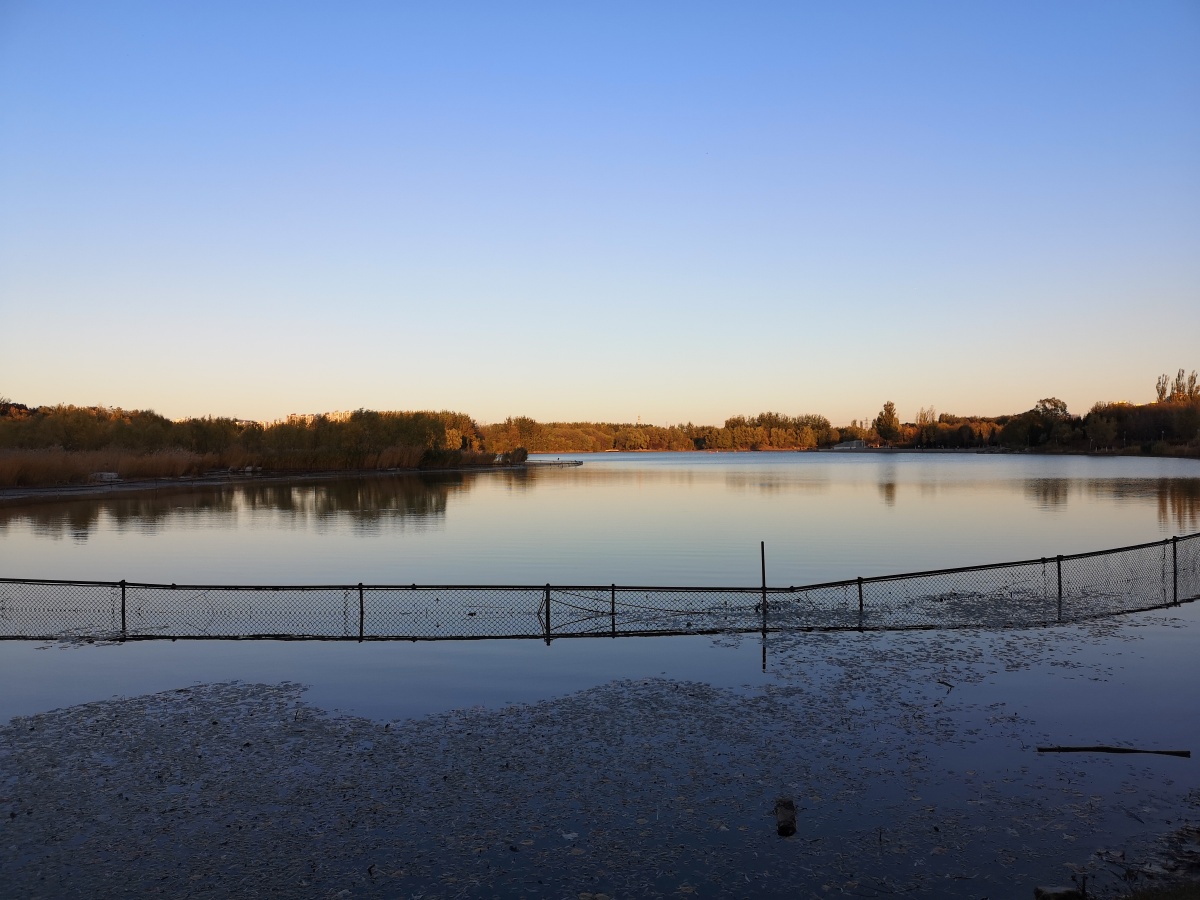 喵姐姐的椰汁儿