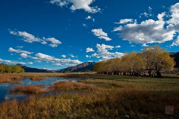 DSC_3171.jpg