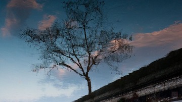 DSC_4967.jpg