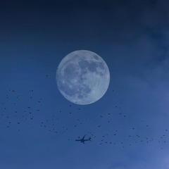 704936