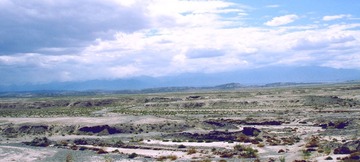 DSC08500.jpg