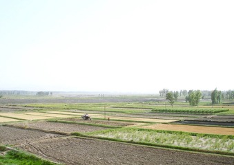 DSC08523.jpg