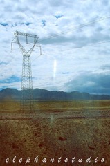 DSC08493.jpg