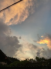 BD024069-DA7E-4EC1-AA71-97141BEACAF3/L0/001