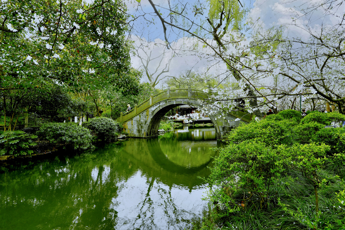 西湖春色七拍摄于杭州曲院风荷