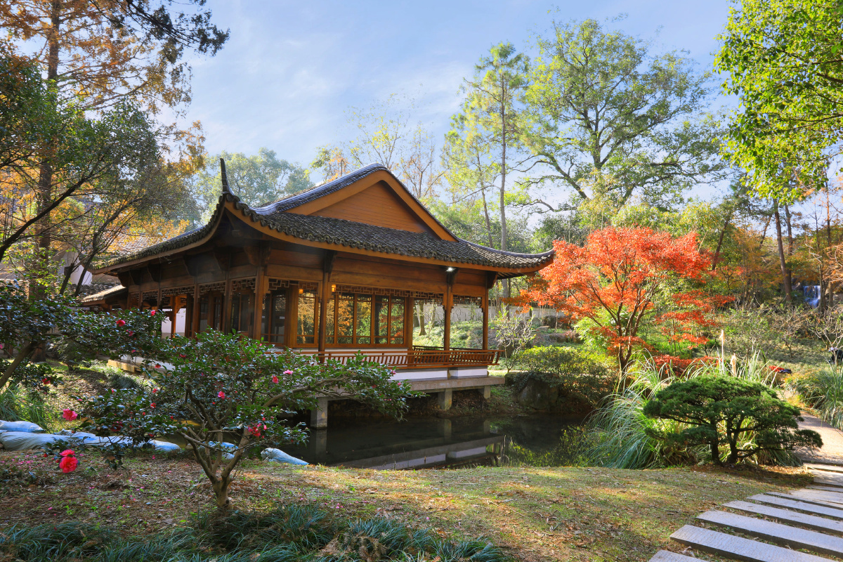 杭州植物园掠影五