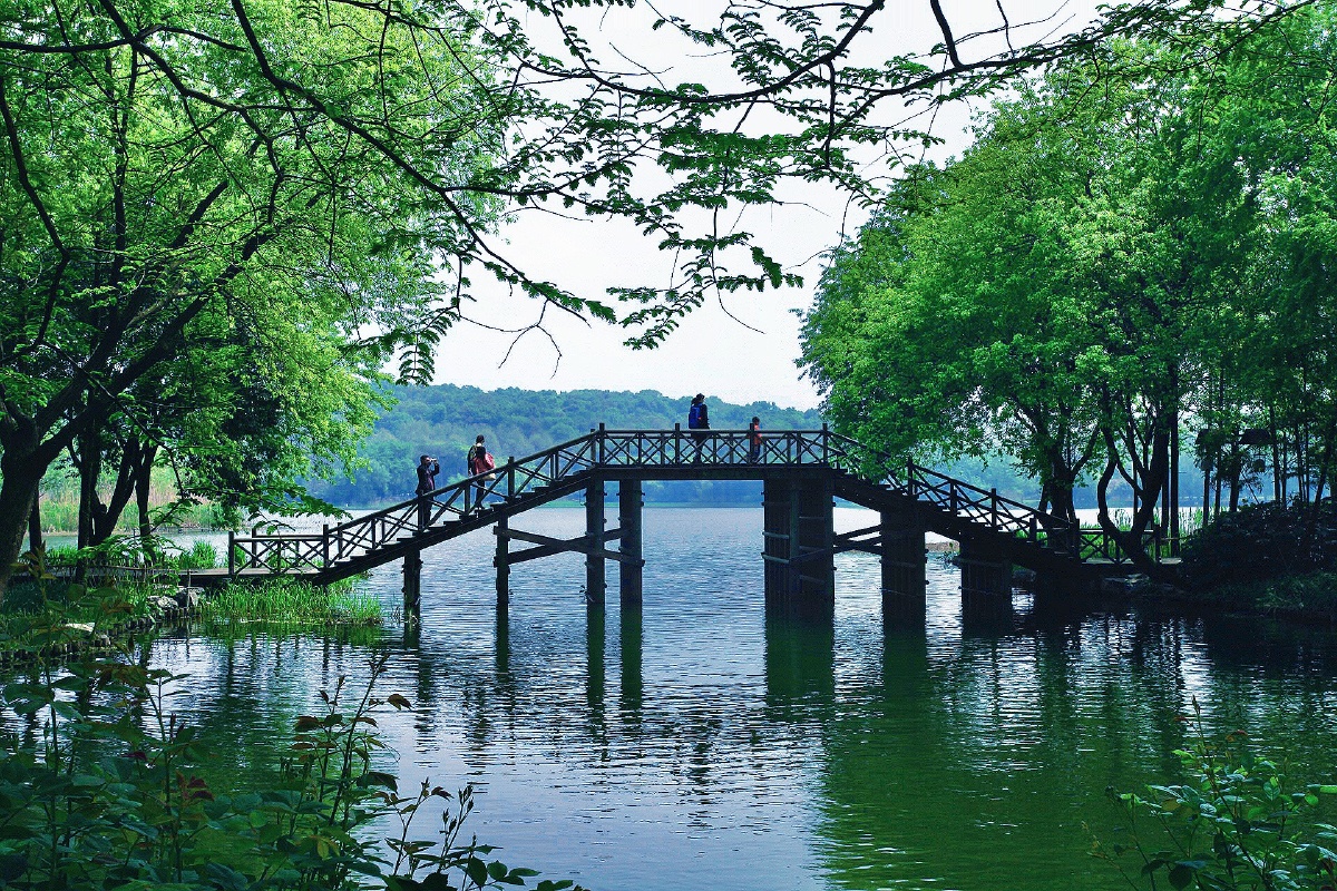 《小木桥》——西湖茅家埠景区随拍