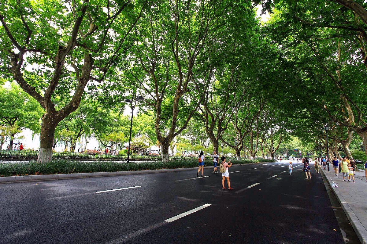 还记得那时难得空旷的杭州北山路吗