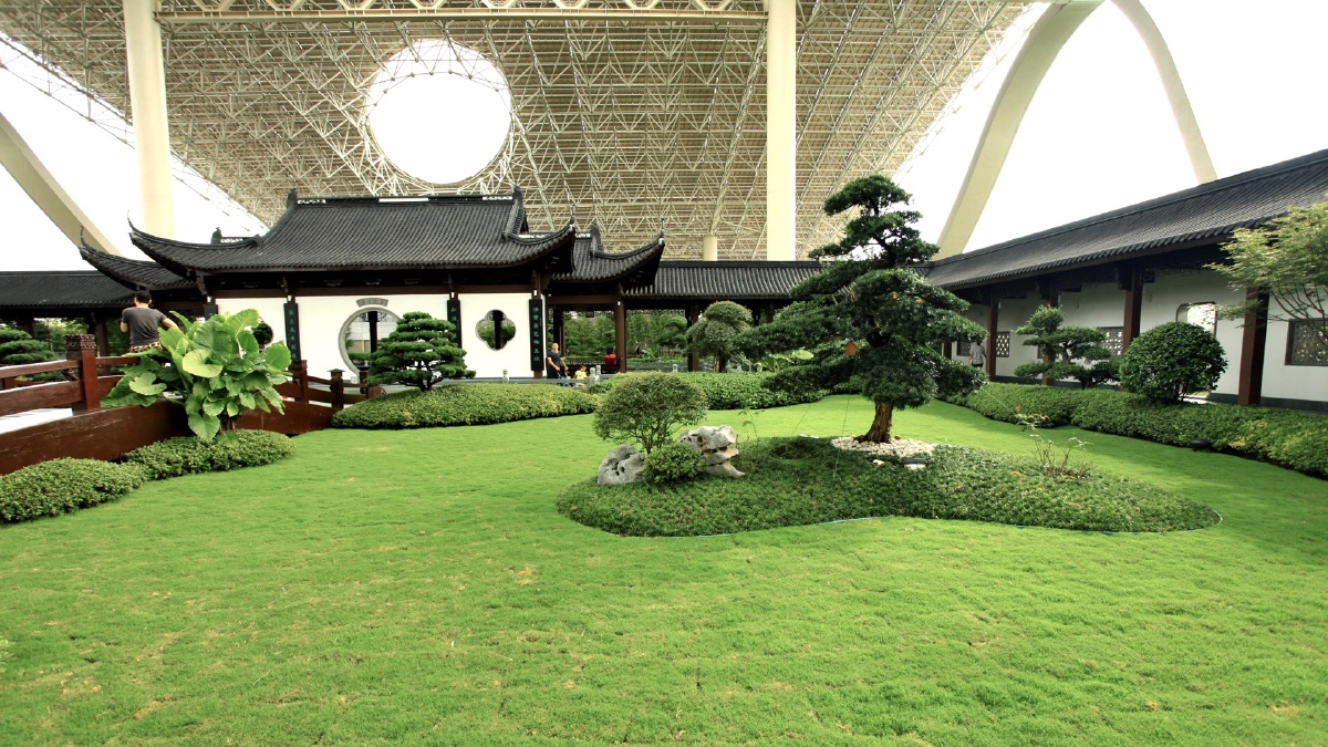 拍摄于杭州g20主会场屋顶花园