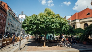 L1003081