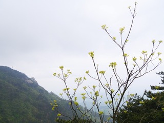 7C60232F-0D00-4D3E-908A-D3D4342092D9/L0/001