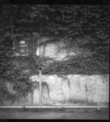 2010.06.21－－Scan-100615-000102_nEO_IMG