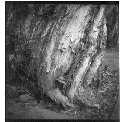2010.06.21－－Scan-100615-000801_nEO_IMG