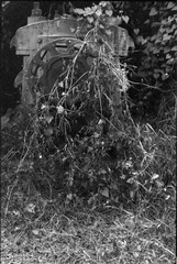 Scan-100919-000215_nEO_IMG